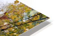 Fall Road HD Metal print