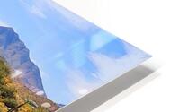Cactus Hiking HD Metal print