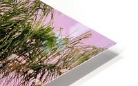 Rainbow Flare-Phoenix HD Metal print