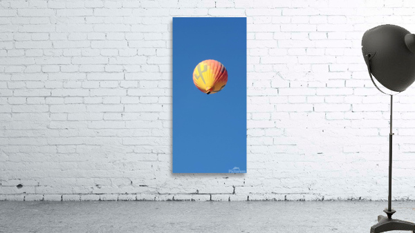Arizona Balloon Wall Preview
