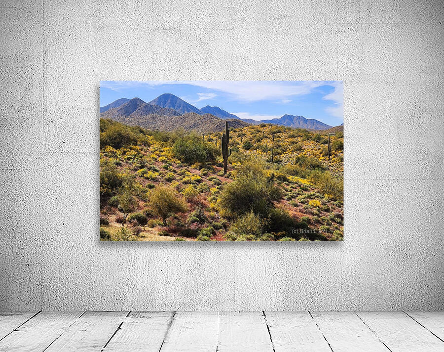 Cactus Hiking Wall Preview