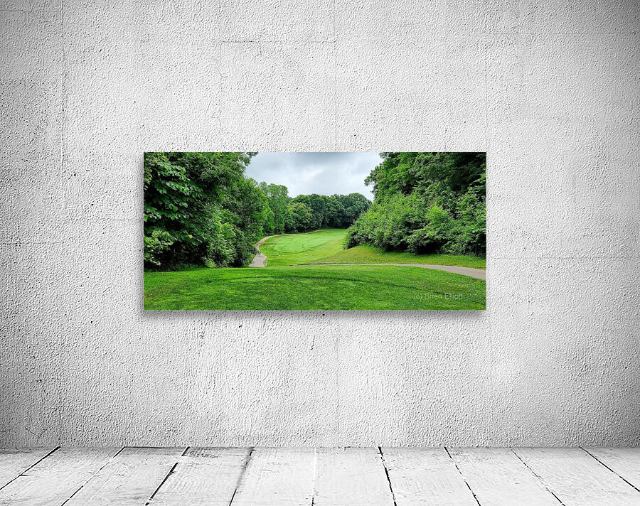 Michigan Golf Wall Preview