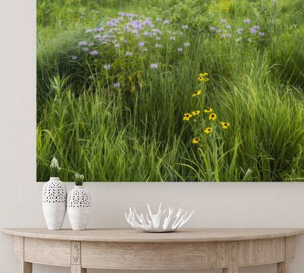 Prairie Delights WFSUDA 2600 by Brad Mangas