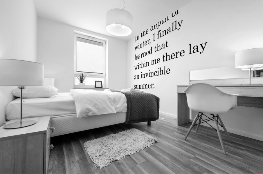 Albert Camus Quote - Invincible Summer Mural print