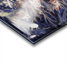 Legalize  Acrylic print