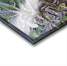 420   Acrylic print
