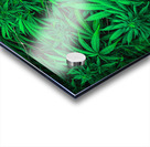Ganja Pharma Acrylic print