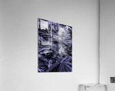 Cannabista  1 Acrylic Print