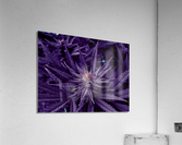 Untitled 20 Acrylic Print
