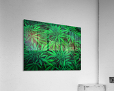 Ganja Pharma Acrylic Print
