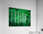 Untitled 27 Acrylic Print