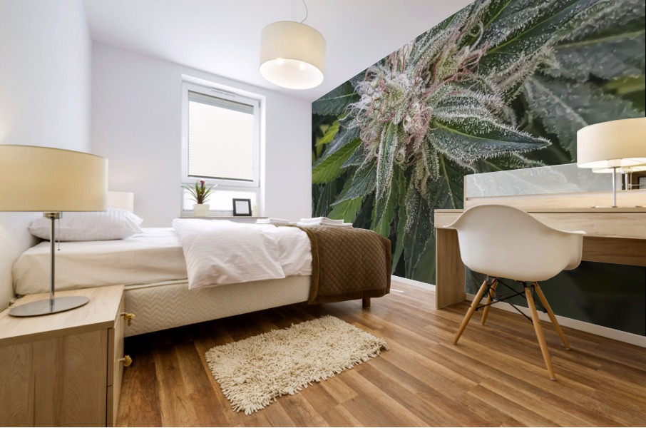 420 Love Mural print