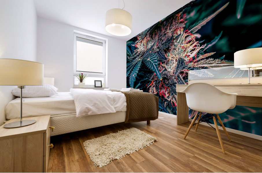 Cannabista 1 Mural print