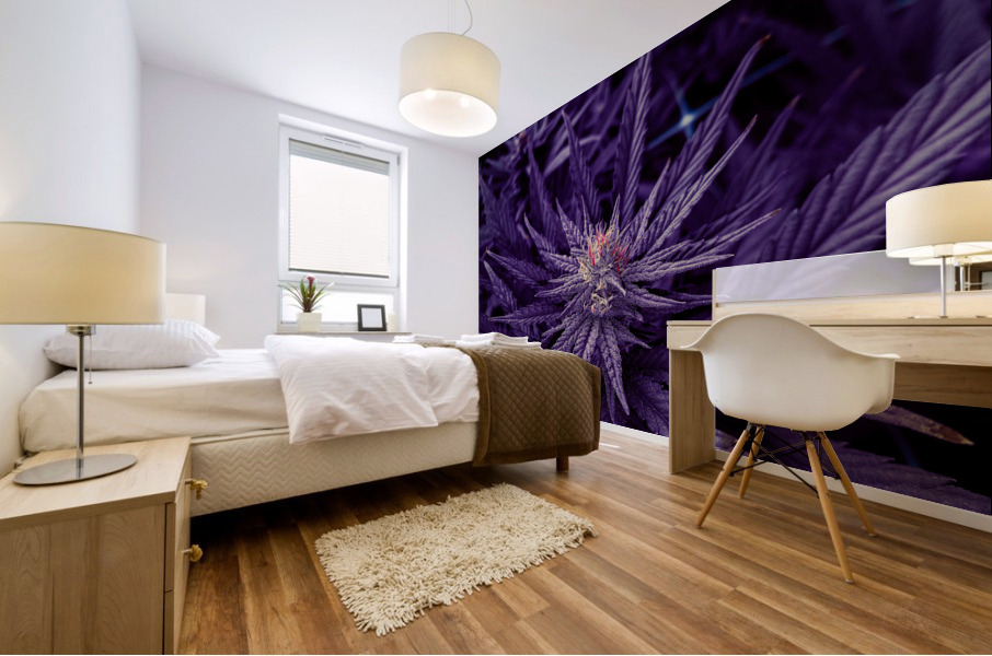Untitled 20 Mural print