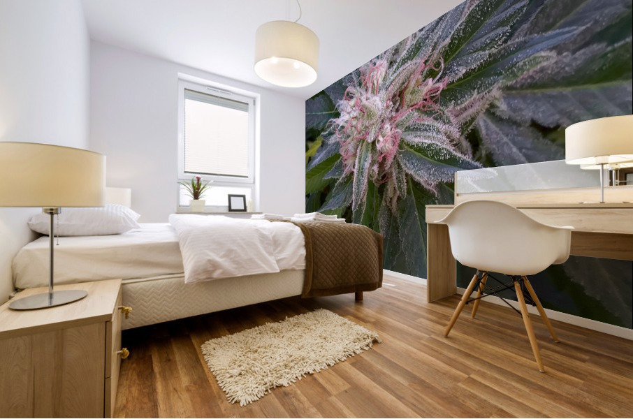 Legacy Grower Mural print