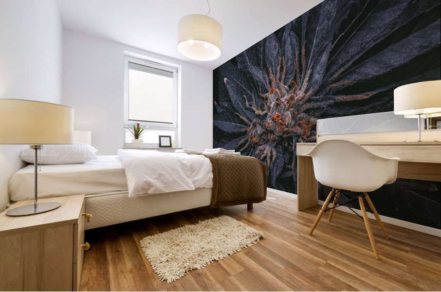 420  Mural print