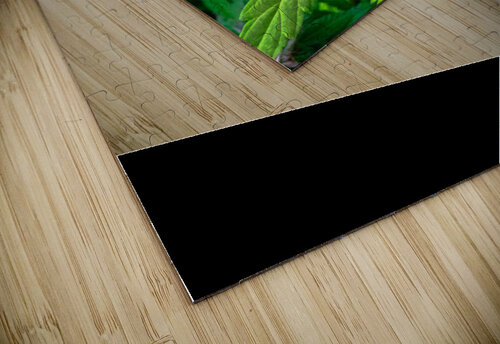 Cannabista  3 Cannabis puzzle