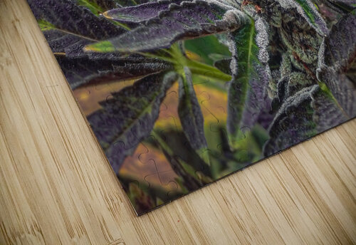 Sunset 420 Cannabis puzzle
