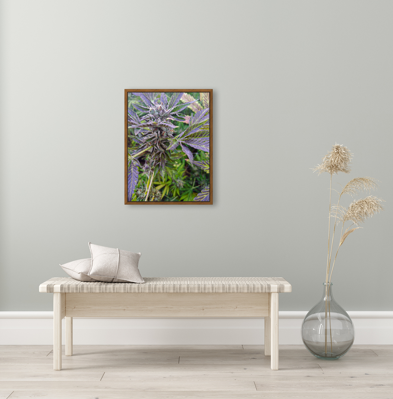 420   Reproduction