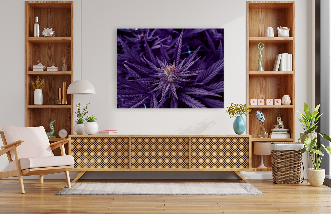 Untitled 20 Reproduction