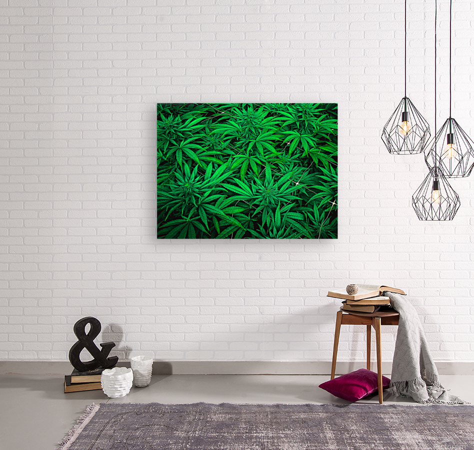 Untitled 27 Reproduction