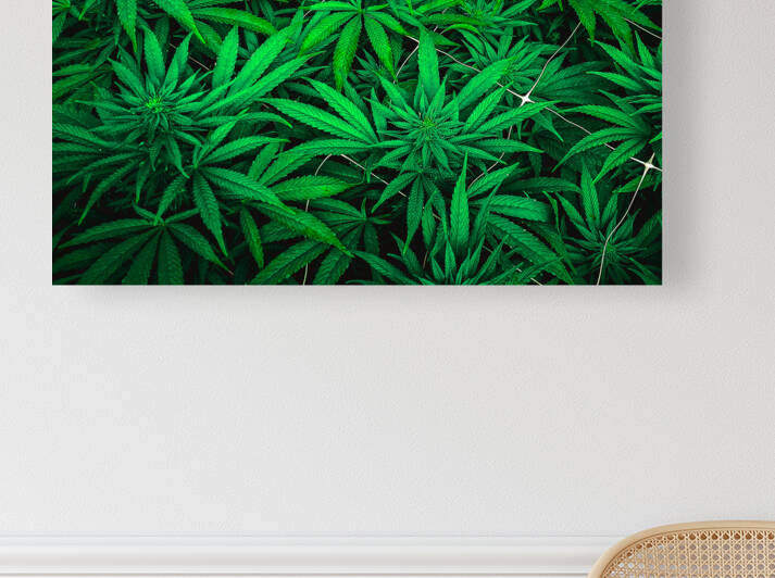Ganja Pharma by Cannabis