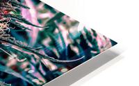 Cannabista 1 HD Metal print