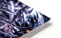 Cannabista  1 HD Metal print