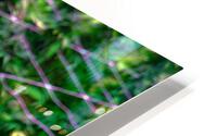 Cannabista  3 HD Metal print