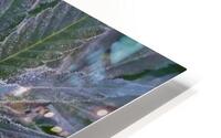 Legacy Grower HD Metal print