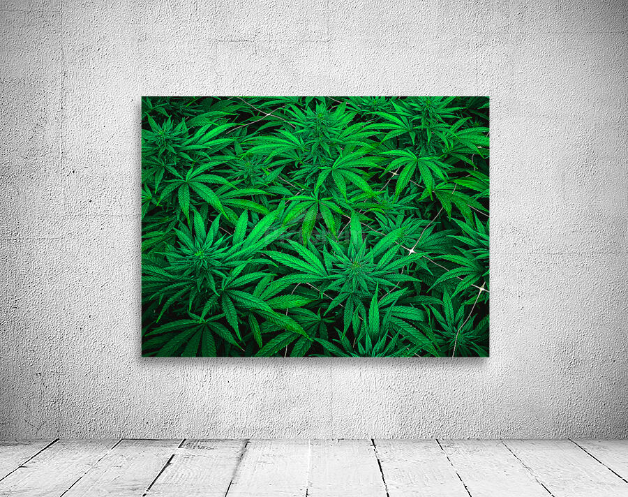 Ganja Pharma Wall Preview