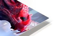 reddragon3 HD Metal print