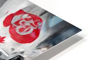 Two brothers HD Metal print