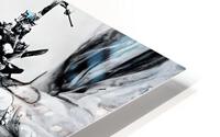 Two brothers3 HD Metal print