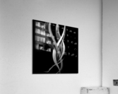 Unexpected Dance ltd edition of 5- 3 left-  NEW Acrylic Print