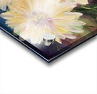 Daisies Acrylic print