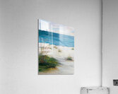 Seagrass  Kim Acrylic Print
