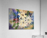 3 Daisies Acrylic Print