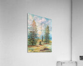 Evergreen Acrylic Print