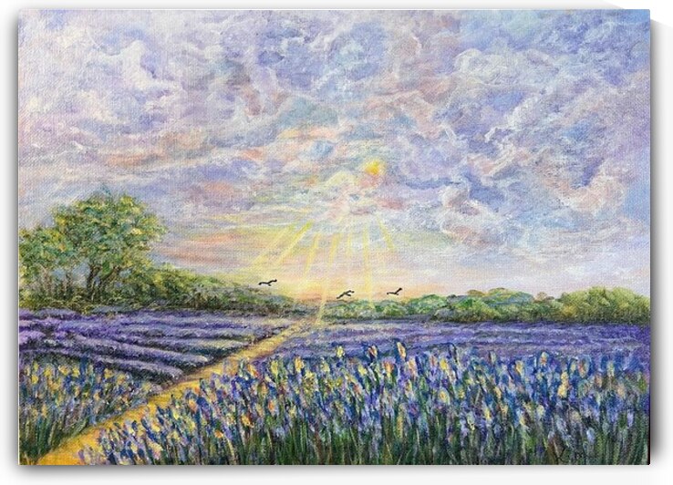 Field of Lavender by Kim Ackerman