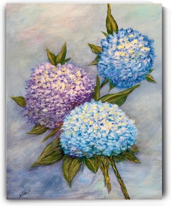 Hydrangea by Kim Ackerman