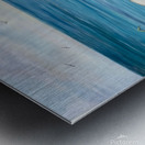 Seagrass  Kim Metal print