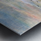 soft meadow 1 Metal print