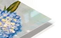 Hydrangea HD Metal print