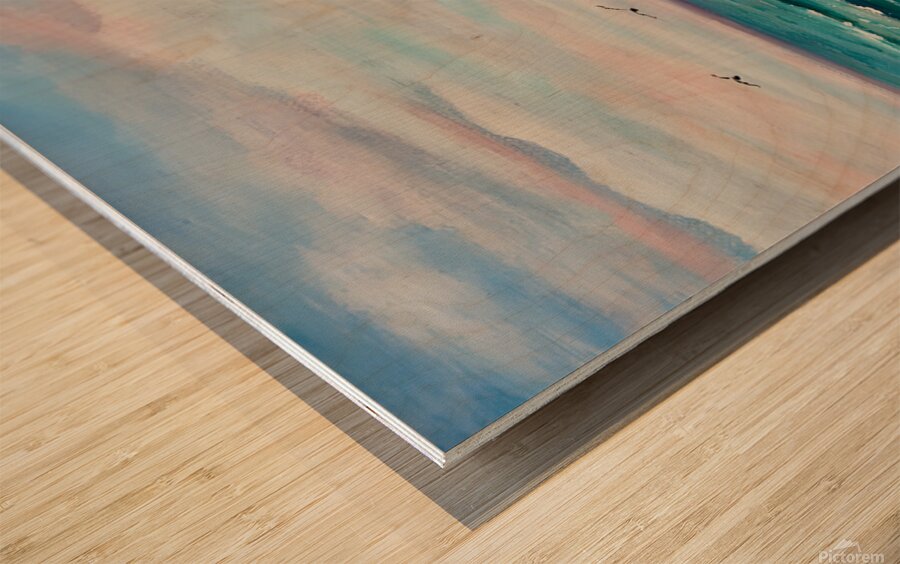 Sandpiper Beach 2 Wood print