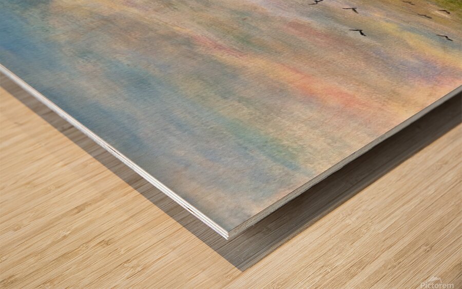 soft meadow 1 Wood print