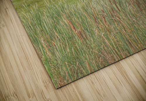 0033 - Past Meets Present Sheryl L Sutter puzzle