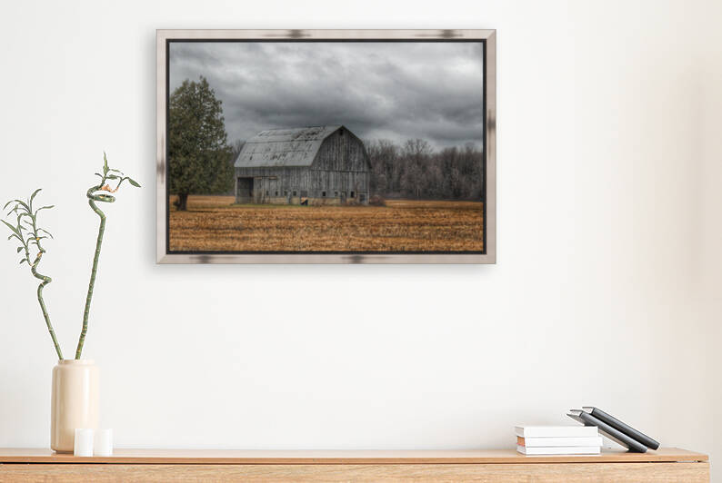 0024   Grey Barn and Tree  0024 BAR 120316 0114P  by Sheryl L Sutter