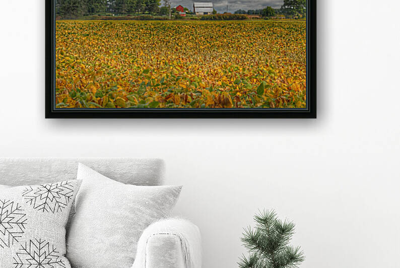 0012   Golden Fields Farm  0012 BAR 090517 1028A  by Sheryl L Sutter