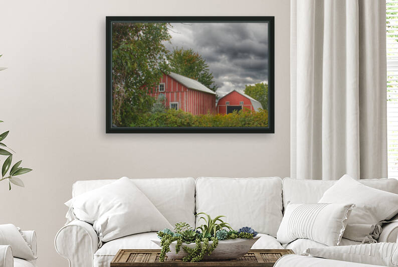 0076   Pinstripe Barn and Buddy  0076 BAR 090917 1146A  by Sheryl L Sutter